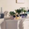 Smart Flower Pot AI Electronic Pet with Wi-Fi App Control & USB Rechargeable Battery - Image 3