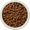 Wag Dry Dog Food, Lamb and Brown Rice, 30 lb Bag - Image 4