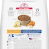 Hill's Science Diet Adult 7+, Senior Adult 7+ Premium Nutrition, Small Kibble, Dry Dog Food, Chicken, Brown Rice, & Barley, 15 lb Bag (Copy) - Image 4